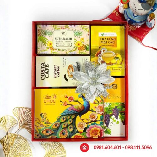 Hộp quà Tết 2026 HQ260380