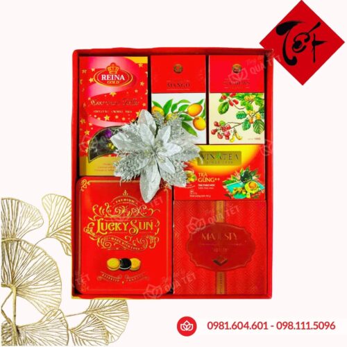 Hộp quà Tết 2026 HQ260505