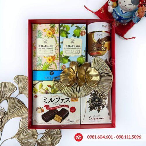 Hộp quà Tết 2026 HQ260590