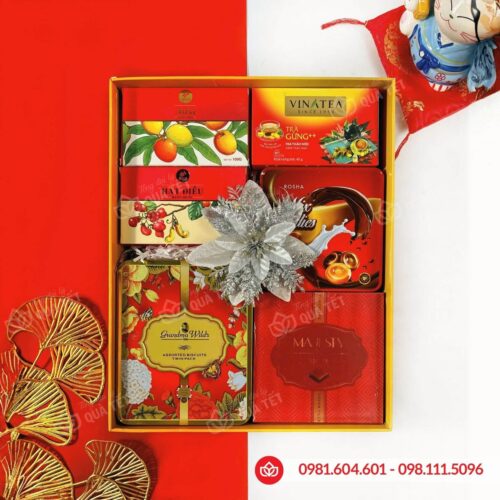 Hộp quà Tết 2026 HQ260600
