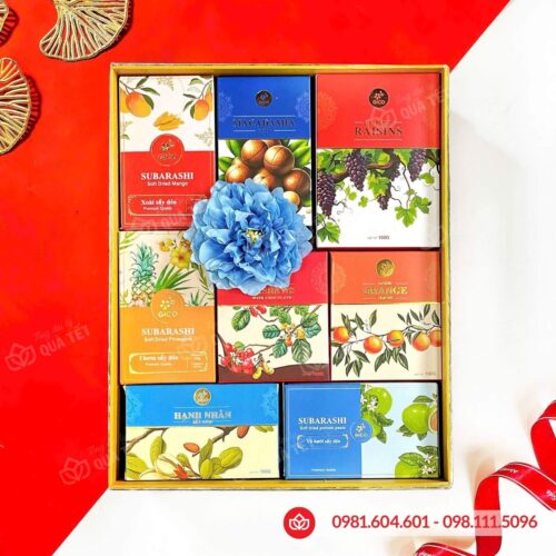 Hộp quà Tết 2026 HQ260620